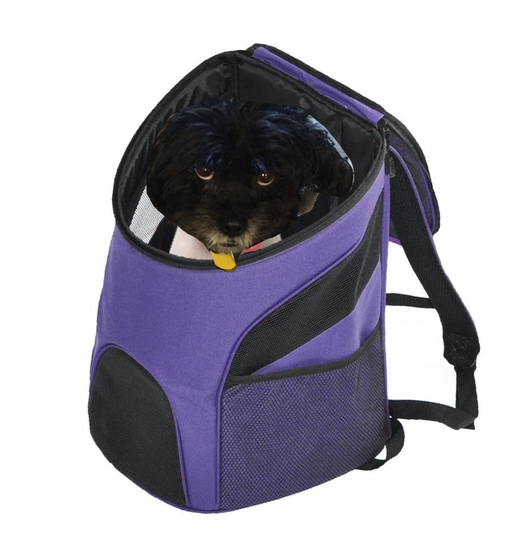 Middie in Dog Carrier.png