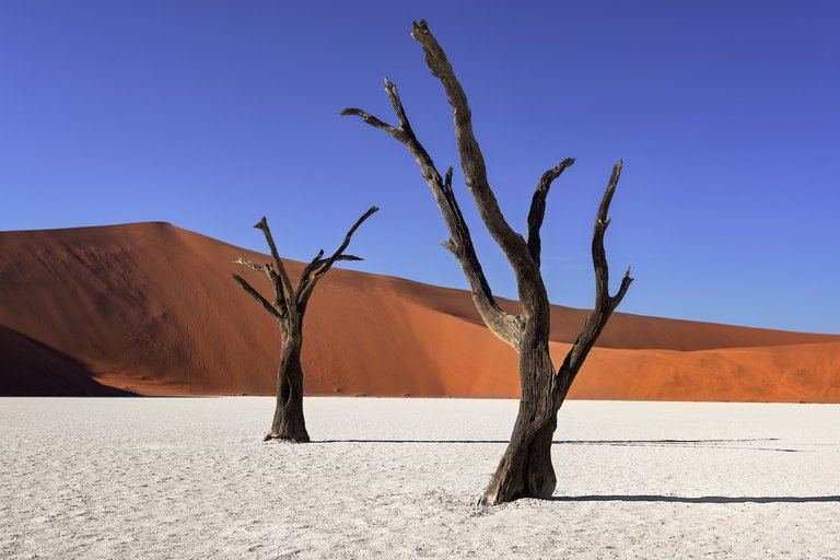 Namibia-7.jpg