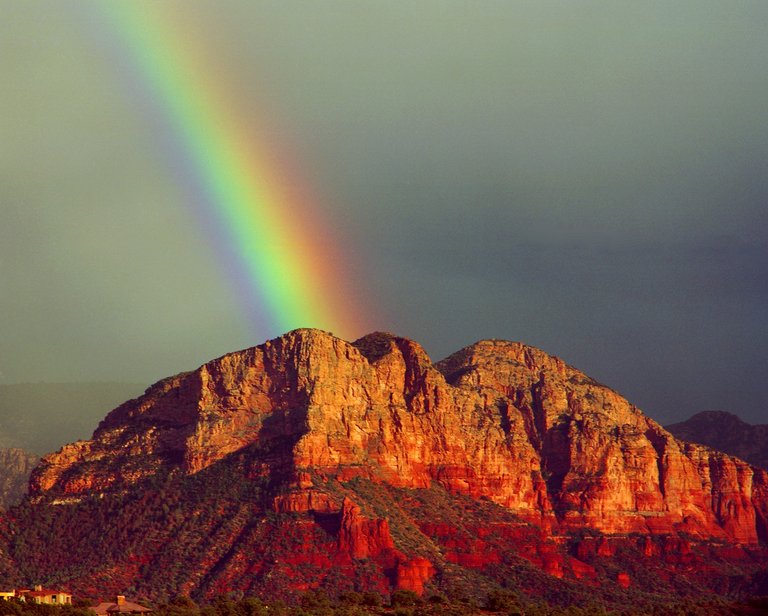 mermaid rainbow+ 8x10.jpg