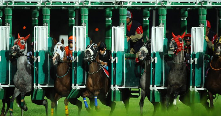 Horse-turnstiles-760x400.jpg