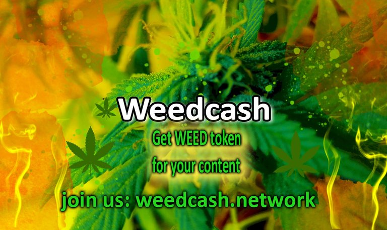 weedcash first2dewdewdede.jpg