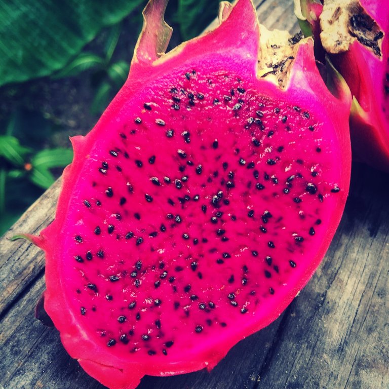 pitaya.jpg