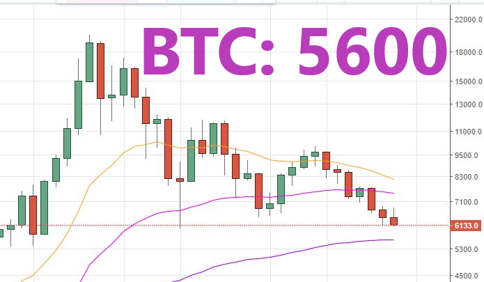 btc5.6.png