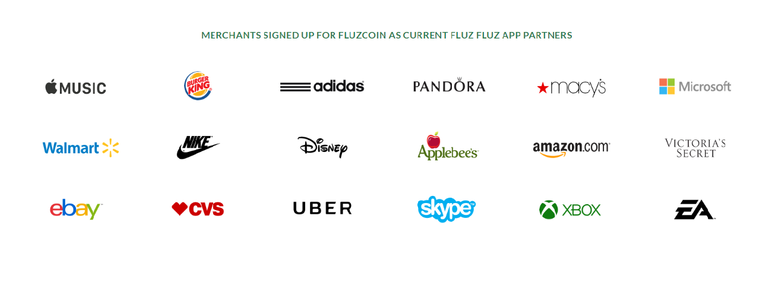 Fluzcoin Partners.png