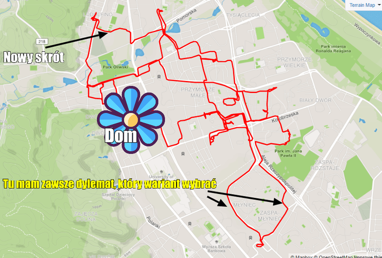 Opera Zdjęcie_2020-01-18_174757_www.strava.com.png