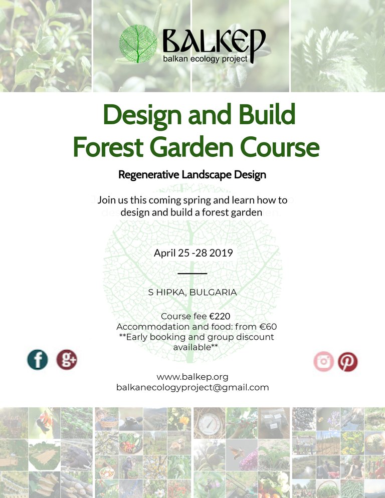 Design and Build - Forest garden Course (2).jpg