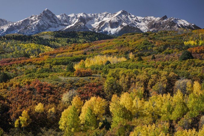 view-mountains-autumn-leaves-mountain-beautiful-leaf-tree-nature-gallery-elegant-tips-to-see-fall-foliage-in-colorado-of-view-mountains-autumn-leaves-mountain-beautiful-leaf-tree-nature-gall-1536306199_680x0.jpg