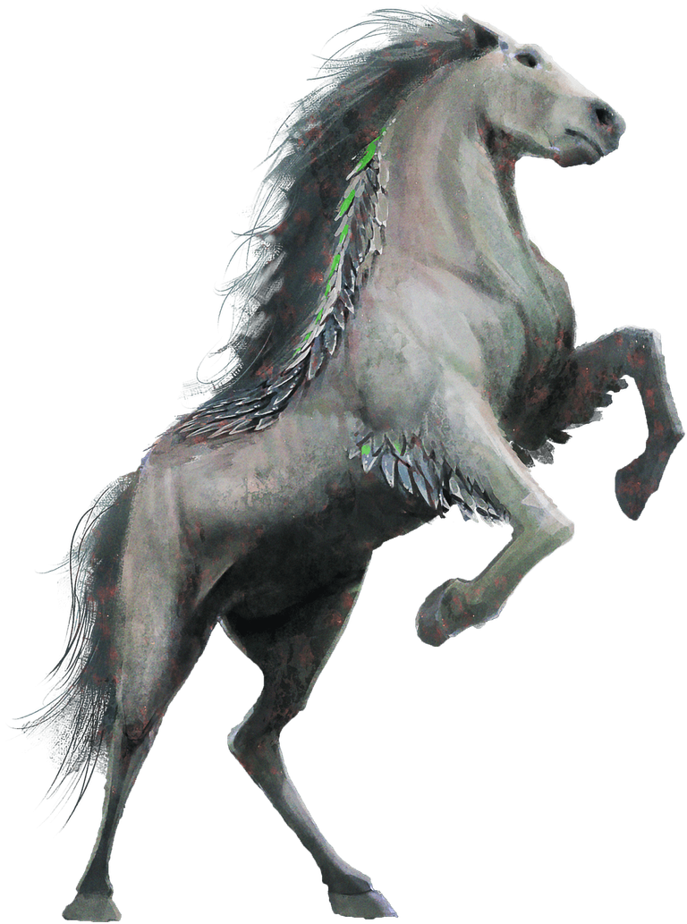 stallion.png