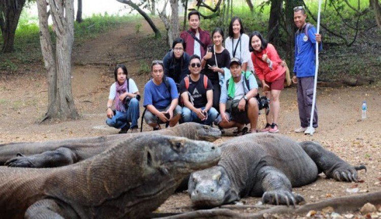 pulau komodo.jpg