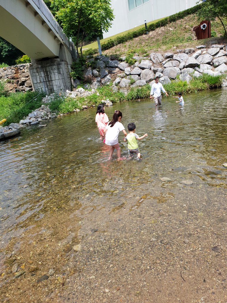 20180606_121014.jpg