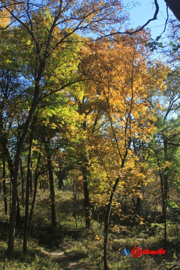 Fall02120.jpg