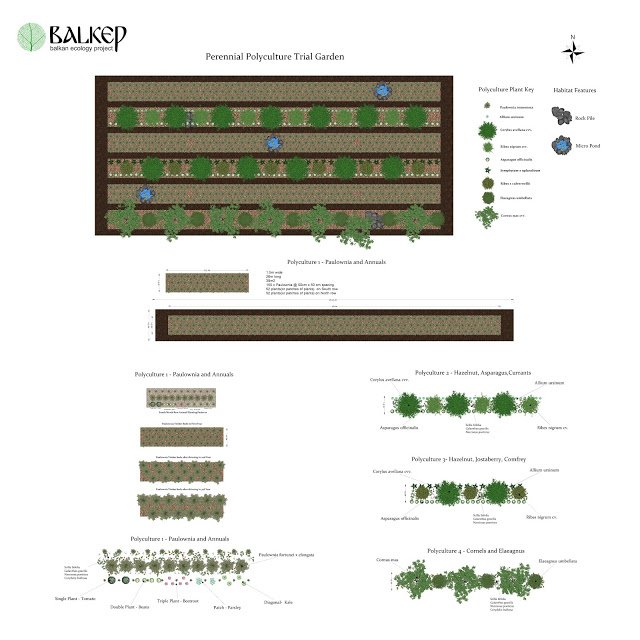 Trials Beds Overview.jpg