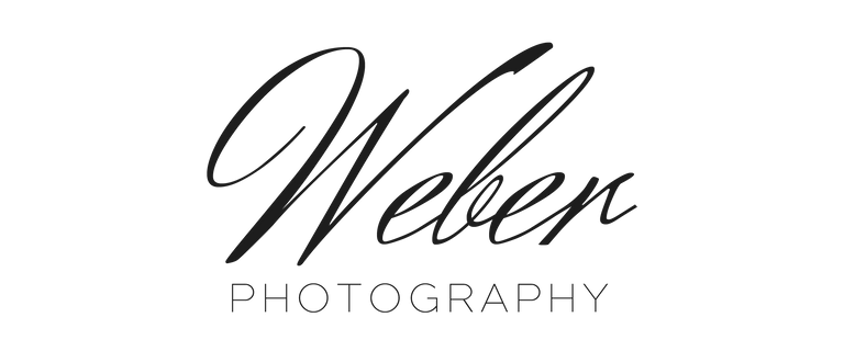 Weber Logo.png