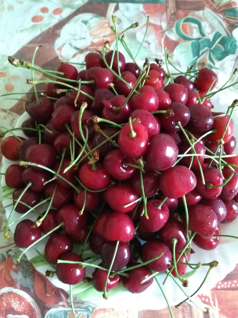 Cherries 1.jpg