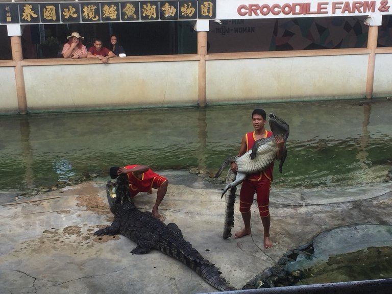 Samutprakarn Crocodile Farm and Zoo10.jpg