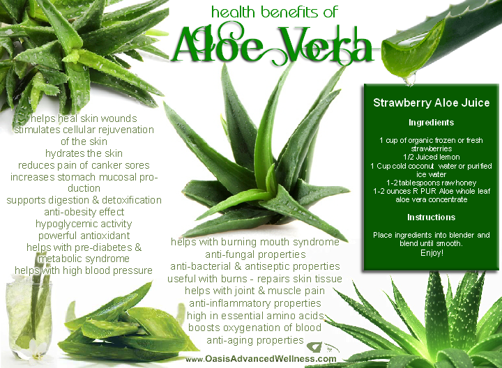 aloe-vera-health-benefits.png