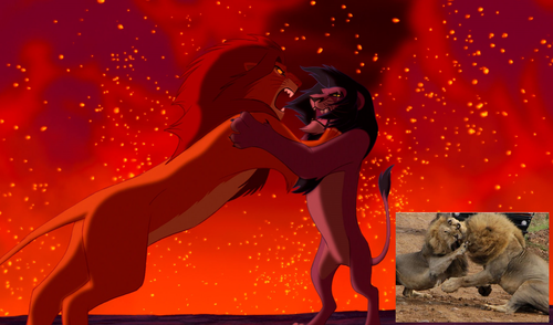 Simba-fights-Scar-the-lion-king-37761765-500-294.png