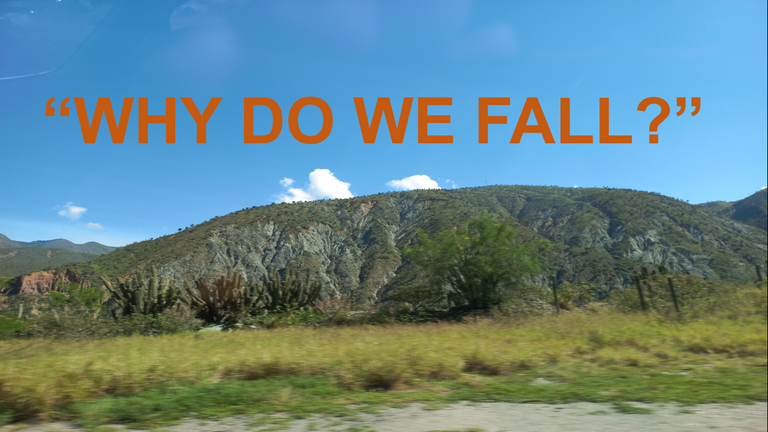 Captura de pantalla (1377).png