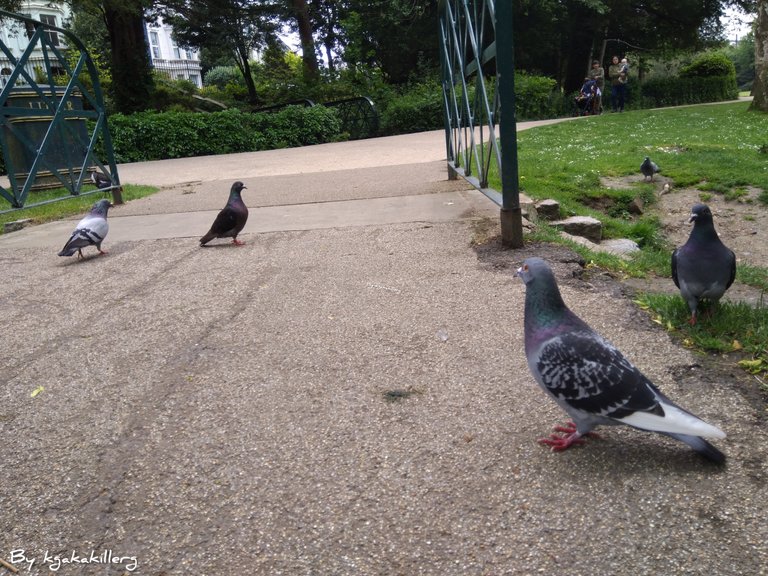 InShot_20220809_062215751.jpg