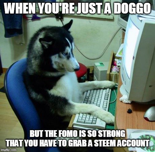 doggo.jpg