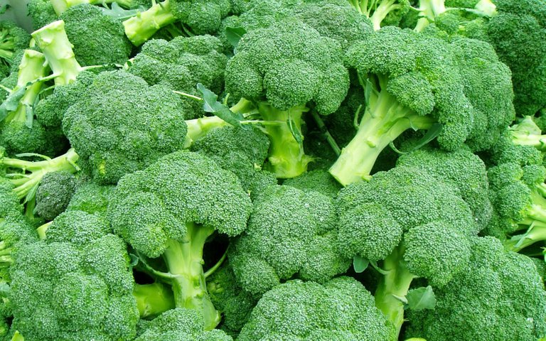 Broccoli one.jpg