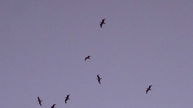 IMG_20180603_205821.jpg