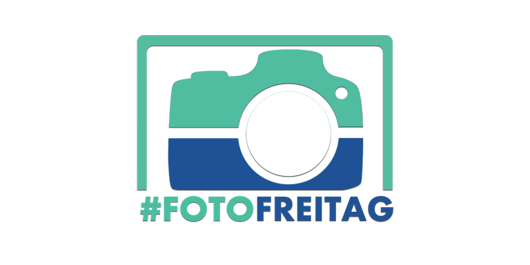 fotofreitag1.png