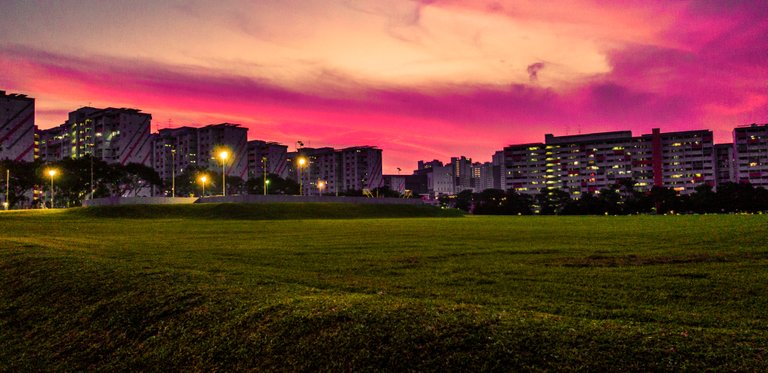 Woodlands sunset.jpg