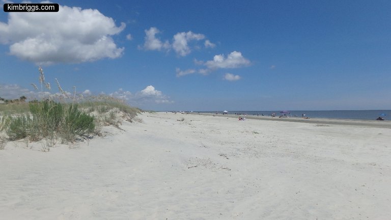 04-great-dunes-beach-georgia.jpg