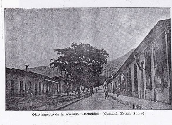 Imagen19 avenida bermudez.jpg