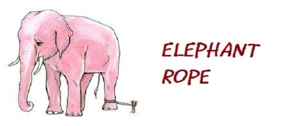 Elephant & Rope.jpg