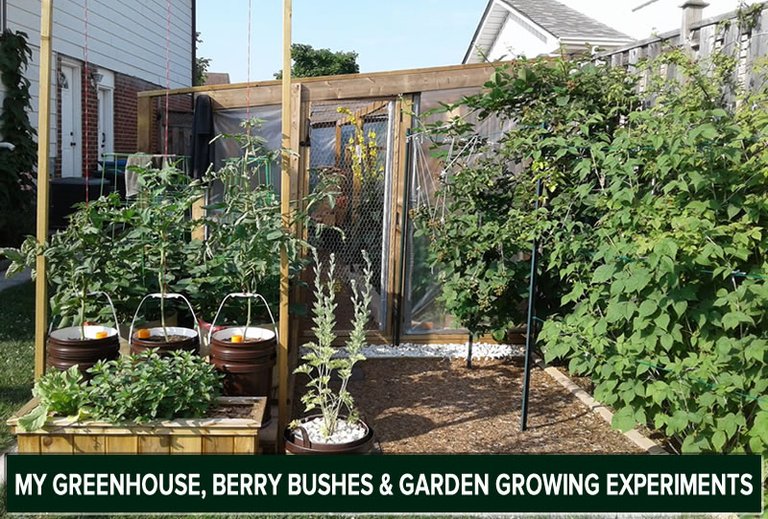 2_greenhouse.jpg