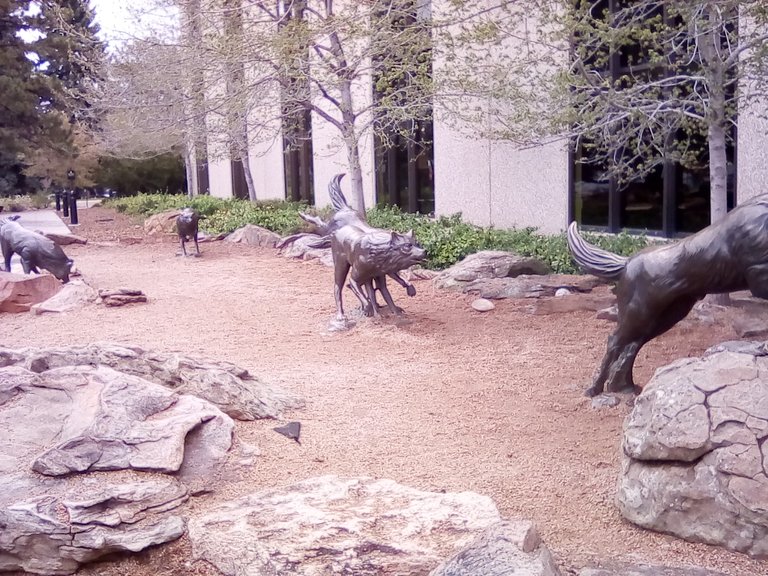 wolf sculptures 2.jpg