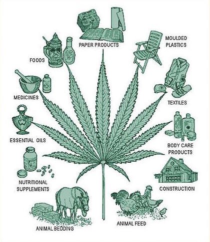 hemp-uses.jpg