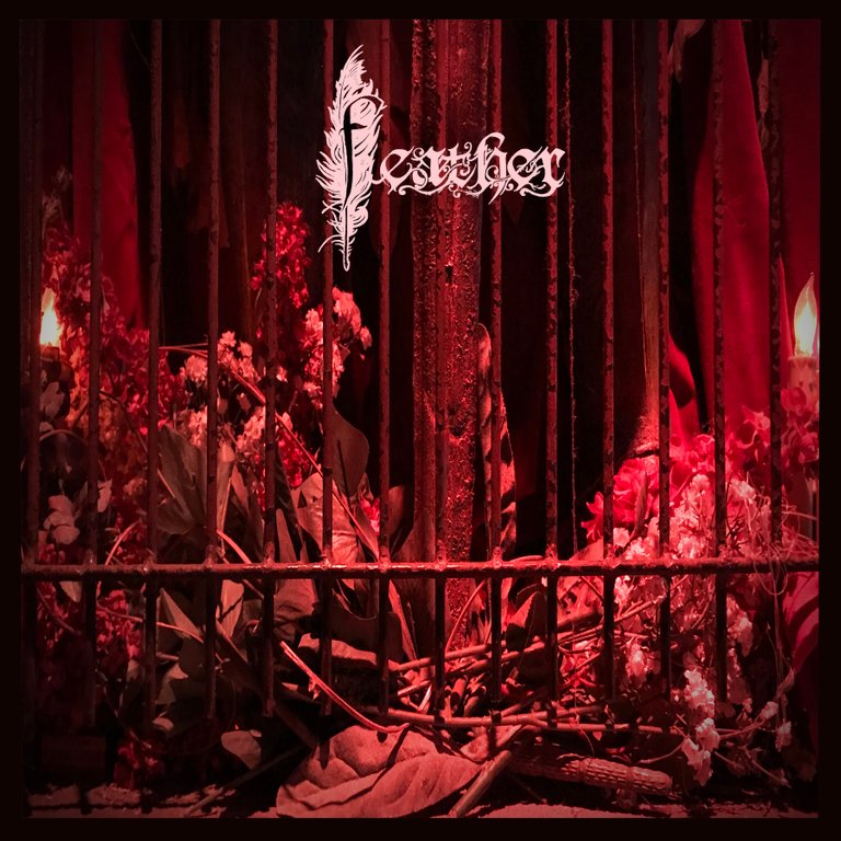 FEATHER II VINYL ALBUM COVER.jpg