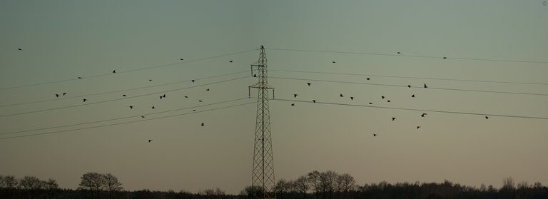 Nature Is Cool - 20120305 - IMGP3445-Pano.jpg