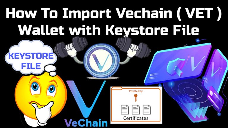 How To Import Vechain ( VET ) Wallet with Keystore File By Crypto Wallets Info.jpg