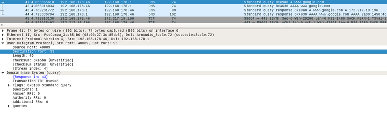 UDP_DNS.png