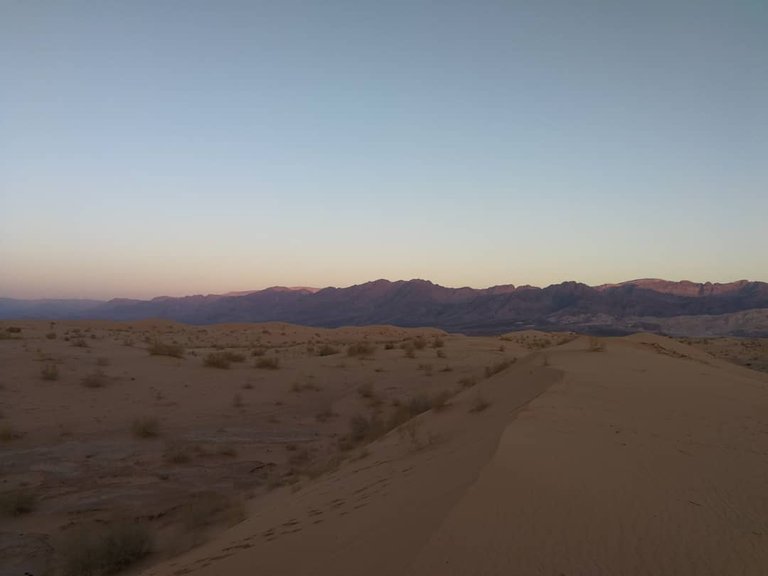 Petra 1.jpeg