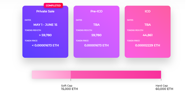 vidy tokensale.png