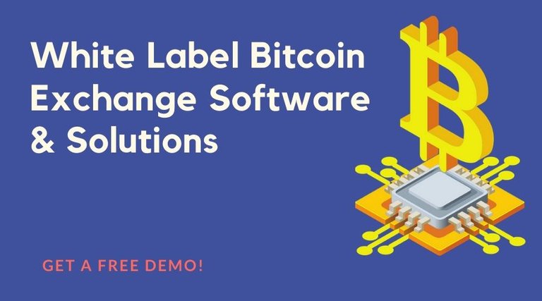 2020 Guide to the Best White Label Bitcoin Exchange Software and Solutions.jpg