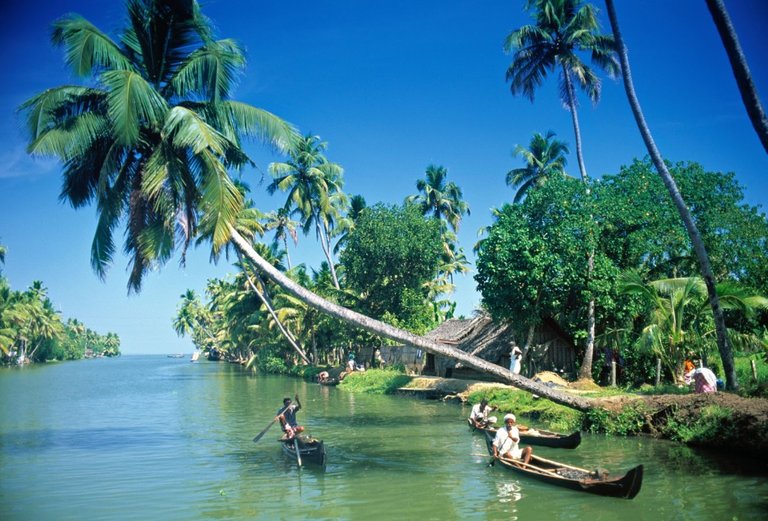 kerala2-1024x695.jpg