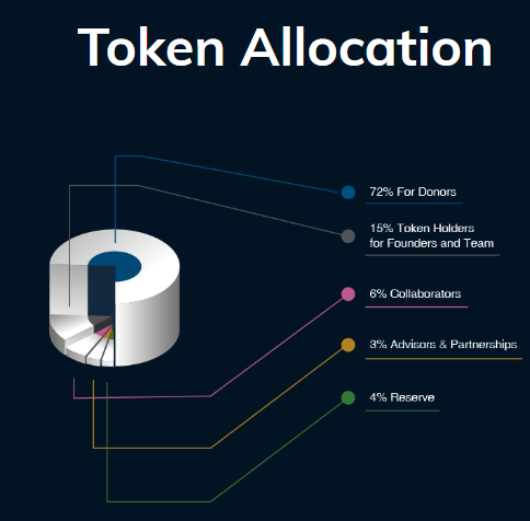 Token Allocation.PNG