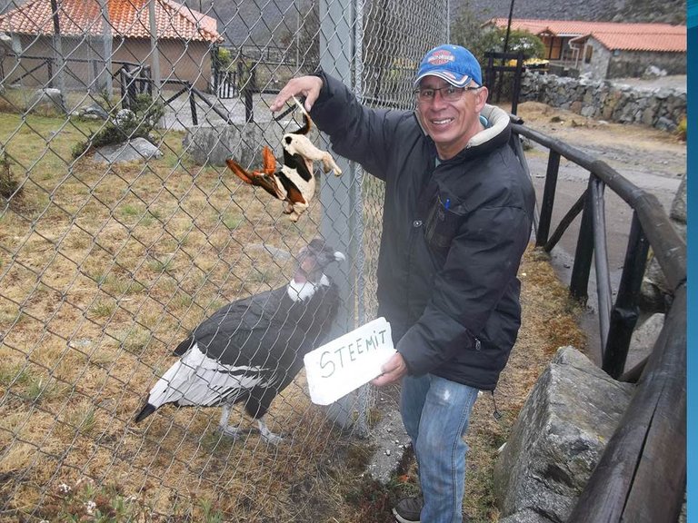 Desayuno para el Condor.jpg