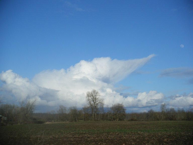 cool-cloud.jpg