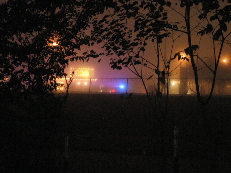 fogpics 039.jpg