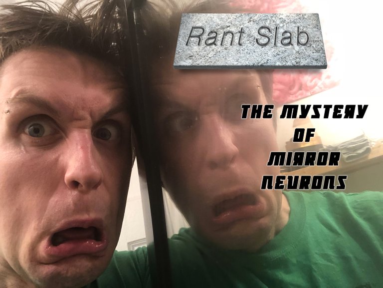 The Mystery Of Mirror Neurons.jpg
