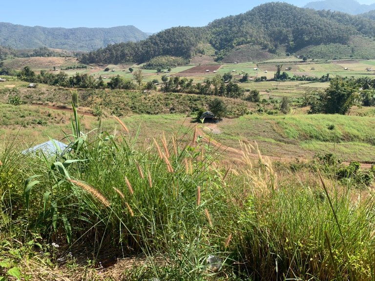 Mae La Luang Viewpoint8.jpg