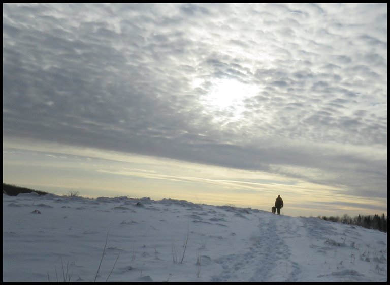 walking dog on snowy hill into an interesting skyline.JPG