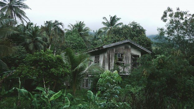cottage-in-palm-trees.jpg